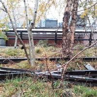 New York 2017 - High Line Art New York 2017