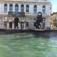 Biennale Venedig 2017 Biennale Venedig 2017