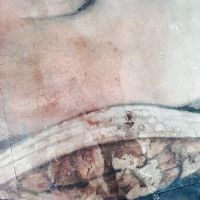 Bregenz 2017 - KUB EG Bregenz 2017